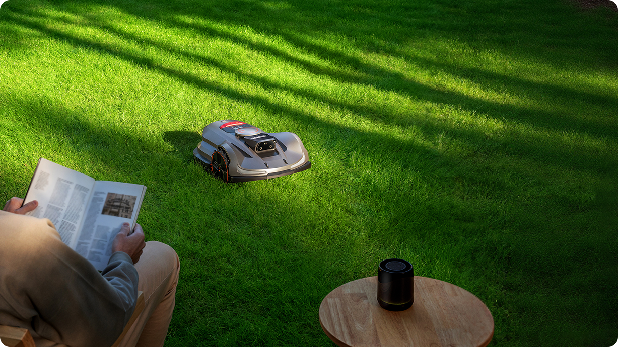 Alexa/Google Assistant