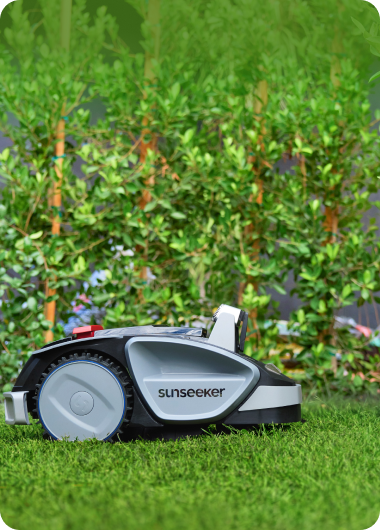 Paaugstināta robeža