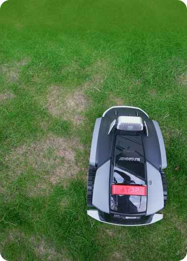 Nevienmērīgs zāliens